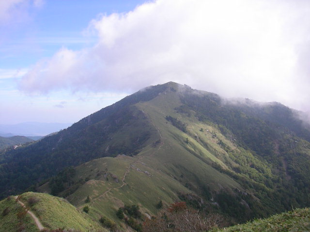 image12