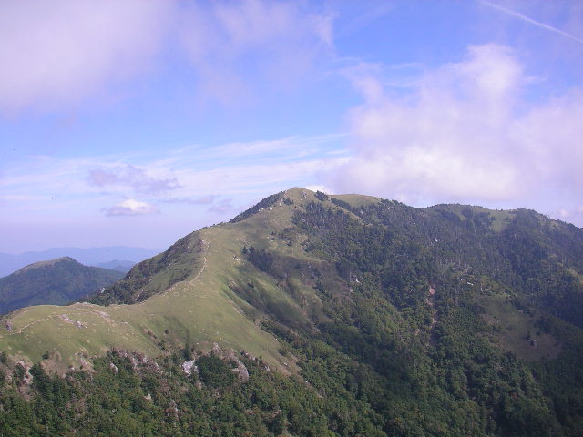 image13