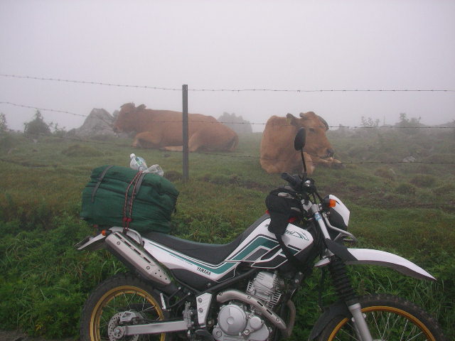 image19