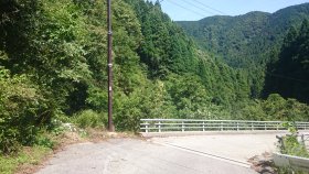 くまと遭遇